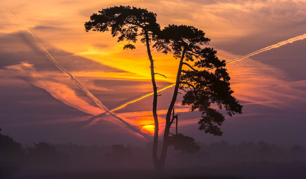 Следы самолетов на закате
