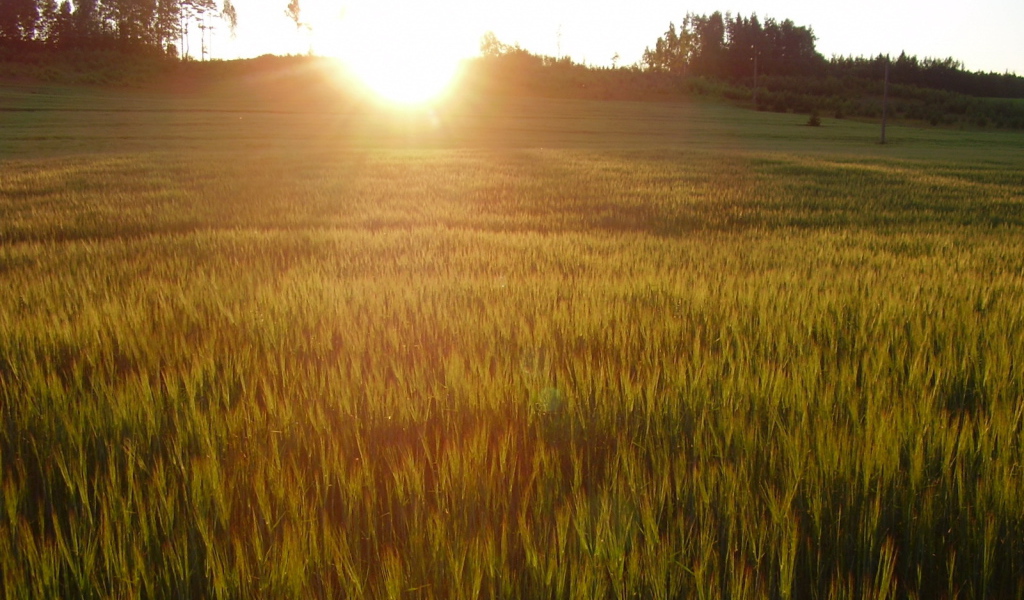 Солнце заходит за холм