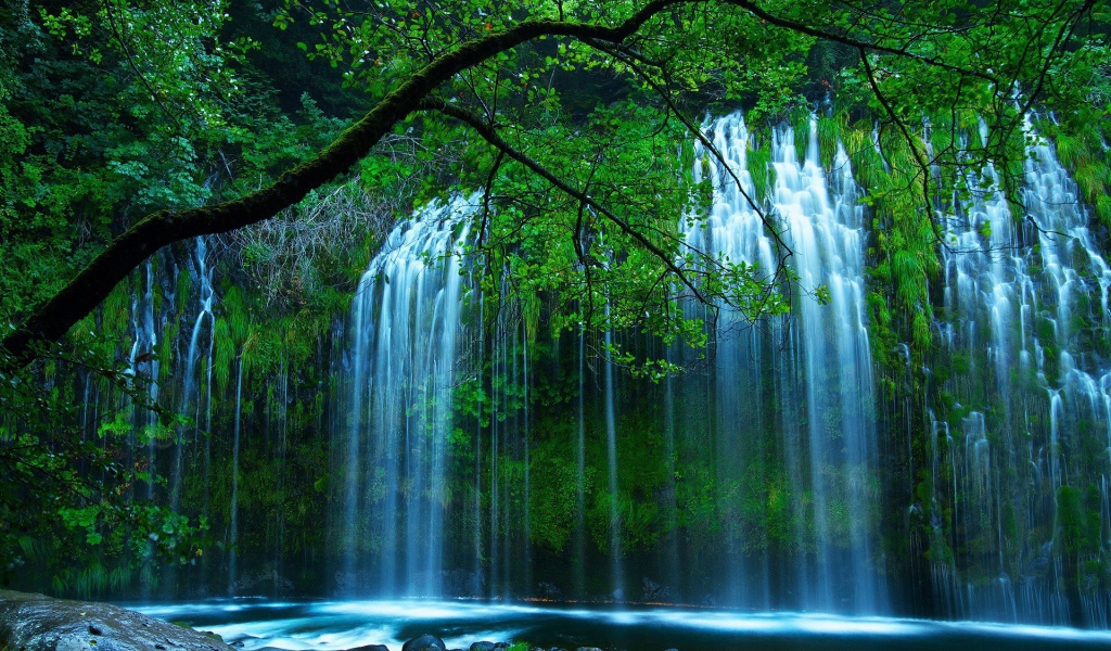 Красивый водопад среди зелени в чаще леса