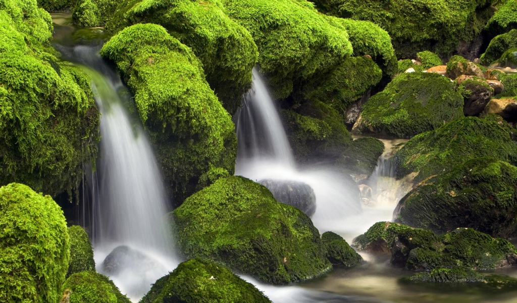 Вода стекает вниз среди поросших мхом камней