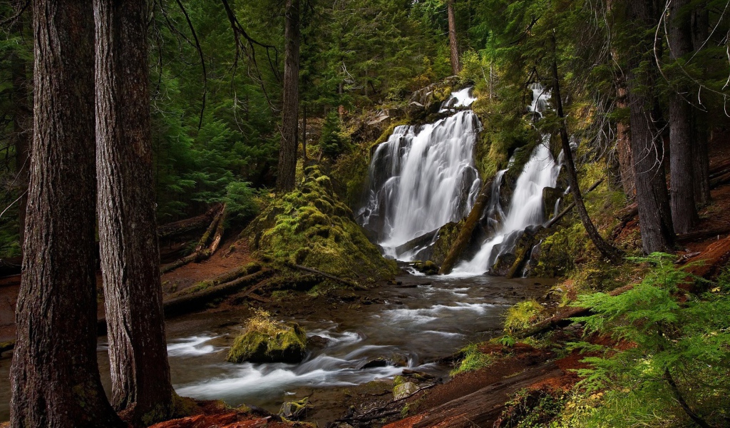 Водопад, скрытый в чаще леса