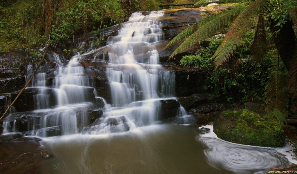 Водопад на черной скале в лесу