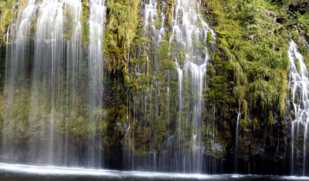 Водопад по зеленым зарослям