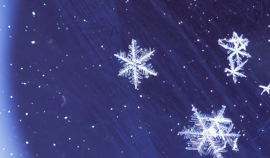 Snowflakes in the sky