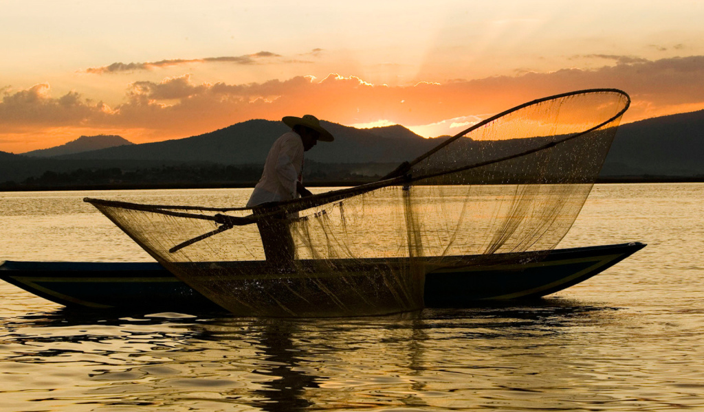 Рыбак закидывает сеть