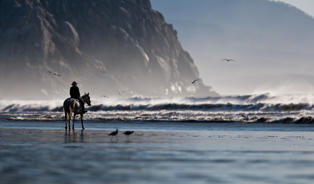Одинокий всадник на берегу моря