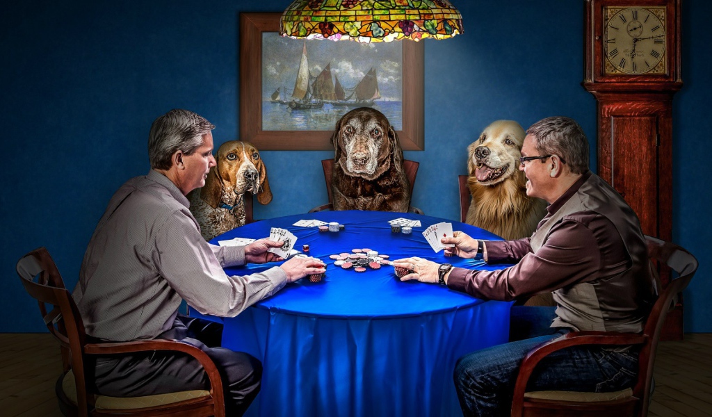 Игра в покер с собаками