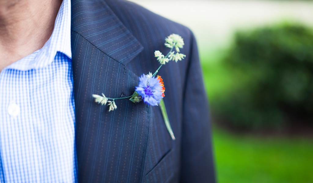 Полевой цветок в петлице пиджака