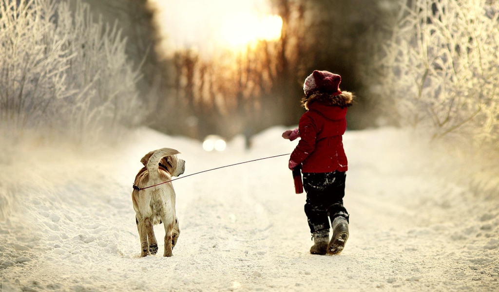 Девочка ведет собаку на поводке на прогулку