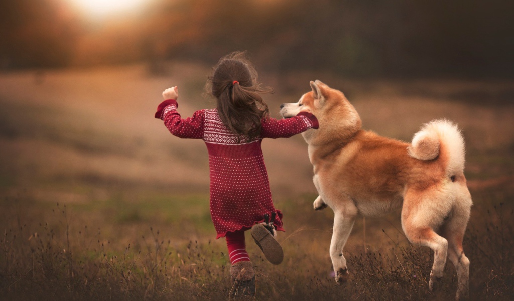 Девочка бежит по полю с собакой