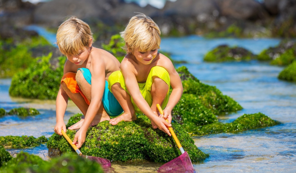 Два брата ловят рыбу сачками