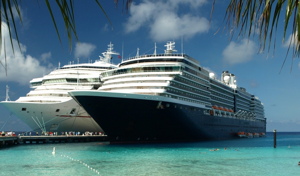 Белый и черный лайнеры в тропиках