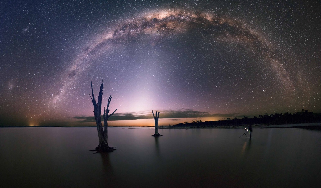 Остатки деревьев на озере под звездами