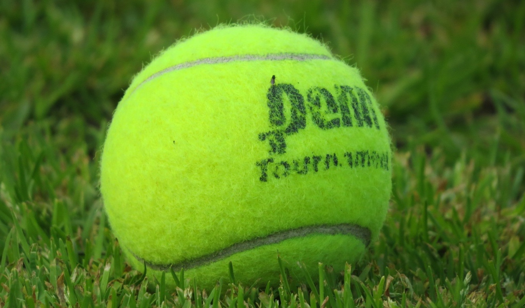 Теннисный мяч на газоне