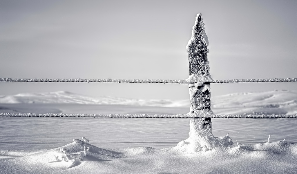 Снег налип на канатах ограждения