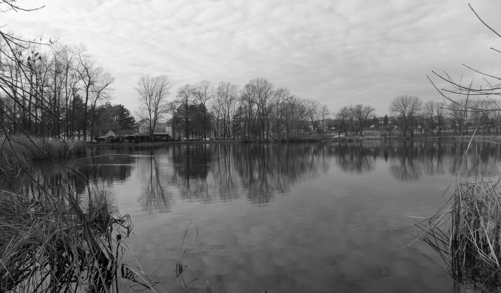 Черно белое фото озера в Сербии