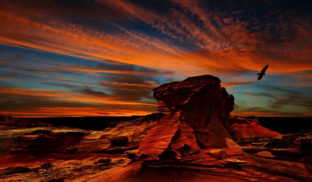 Орел над красной скалой в Чили