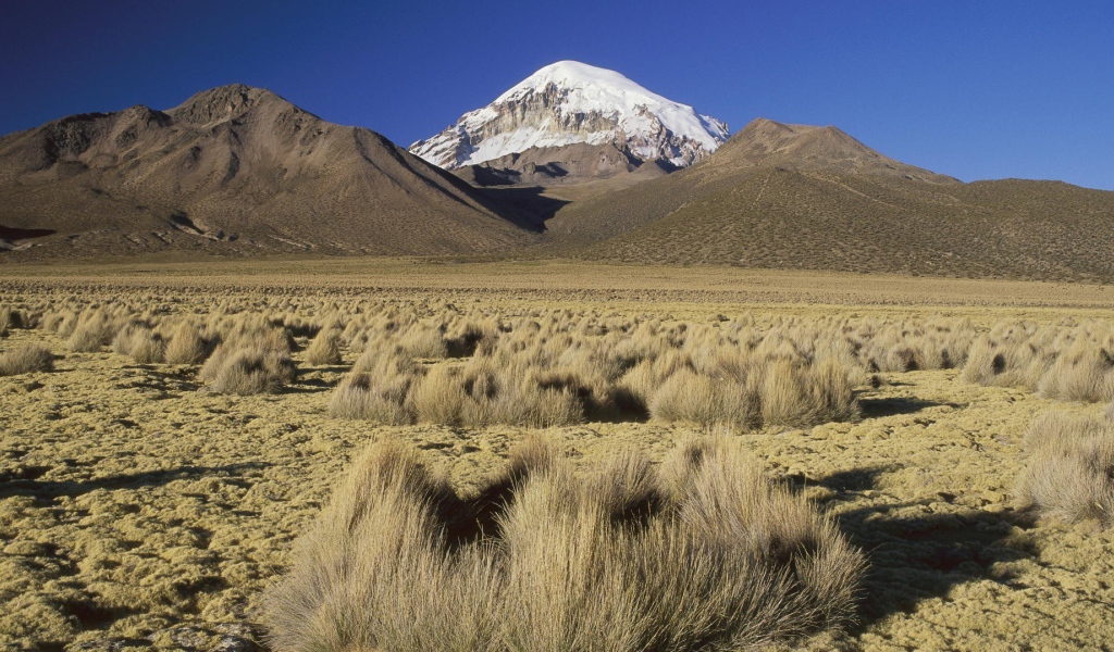 Суровый пустынный пейзаж в Боливии