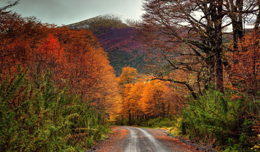 Дорога в осеннем лесу у подножия горы, Чили