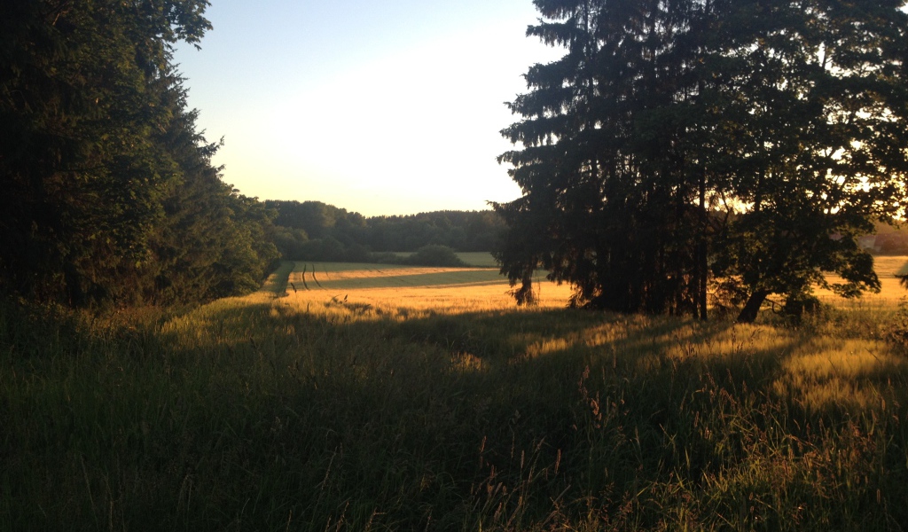 Летний пейзаж в Финляндии