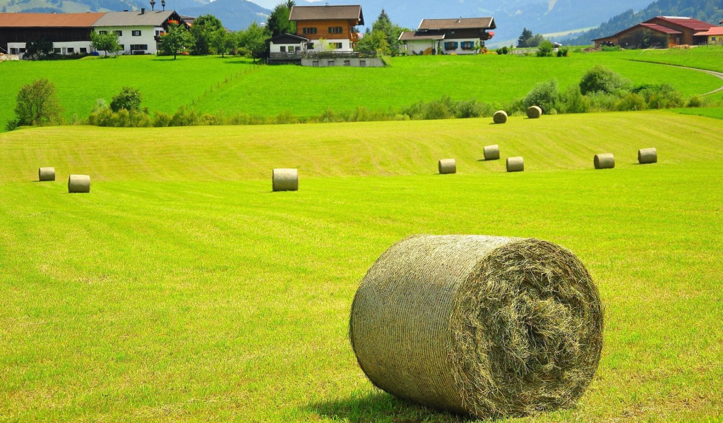 Тюки сена на поле, Австрия