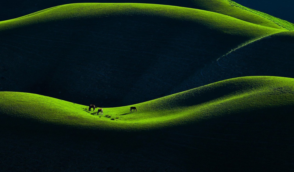 Горное пастбище в Китае