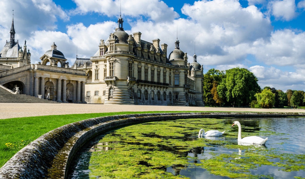 Лебеди в пруду у замка во Франции