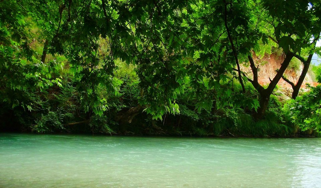 Зелень над рекой, Греция