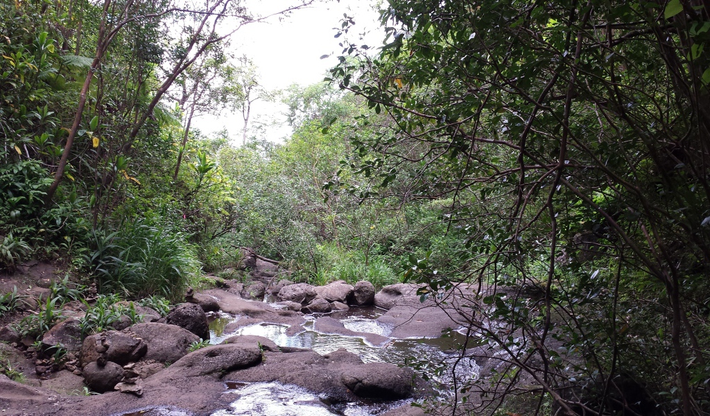 Река в Ka‘Au Crater, Гавайи
