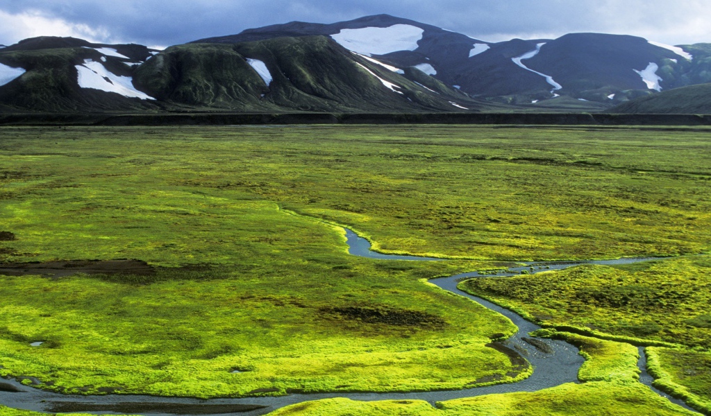 Зеленая равнина в Исландии