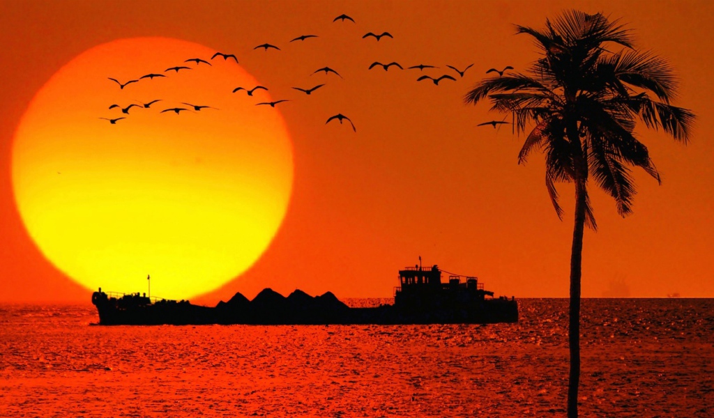 Вечером в Гоа, Индия