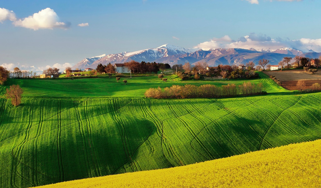 Зеленое поле в Италии