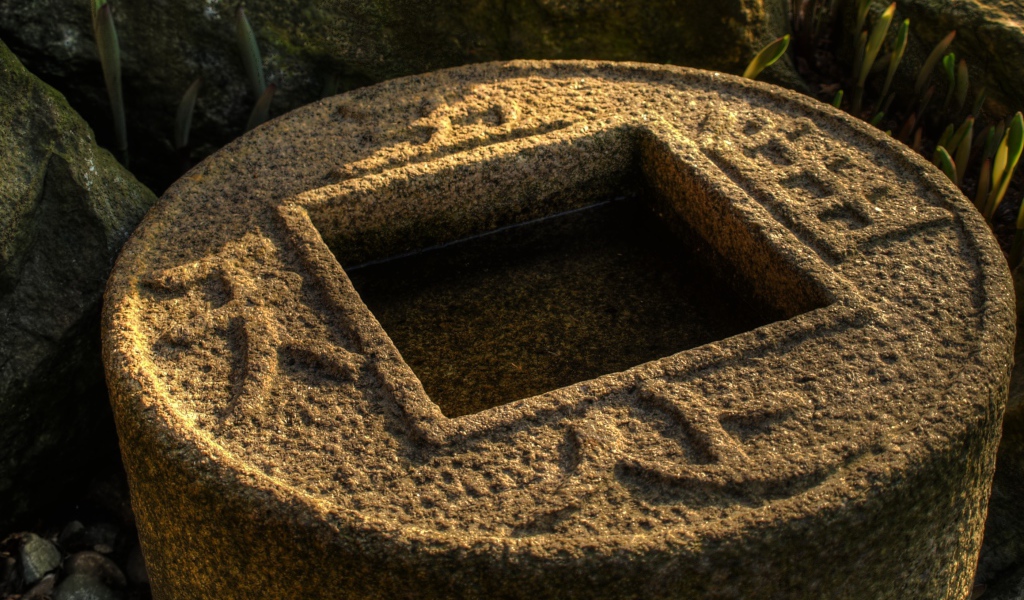 Водоем в японском саду