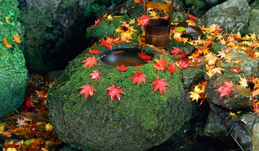 Колодец в камне, Япония