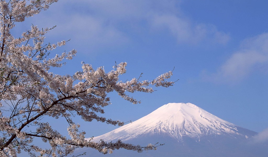 Белая вершина горы Фудзияма