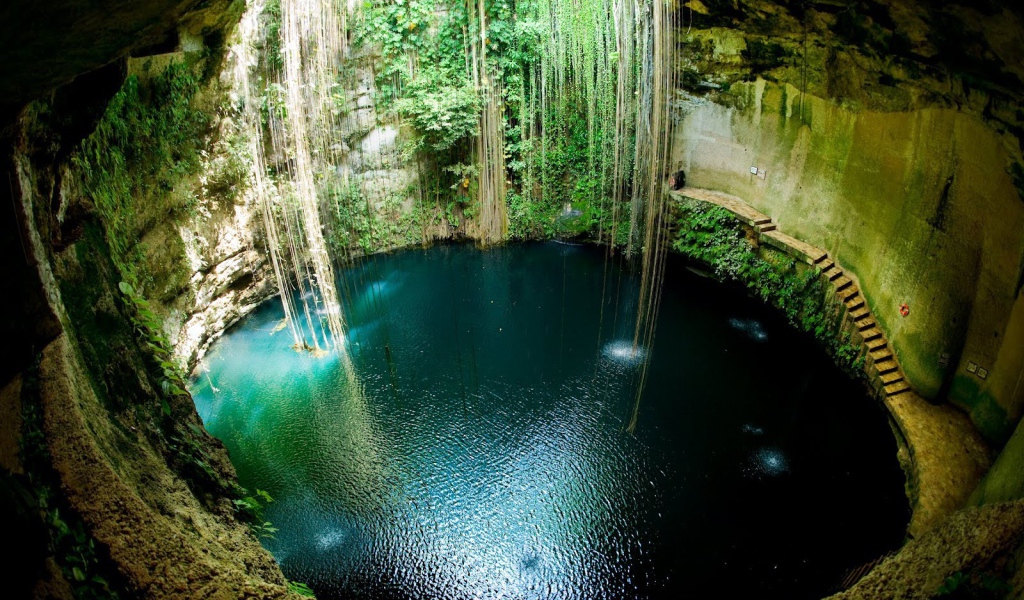 Лианы в пещере в Мексике