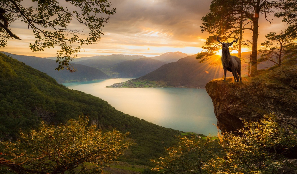 Олень на фоне заката в Норвегии