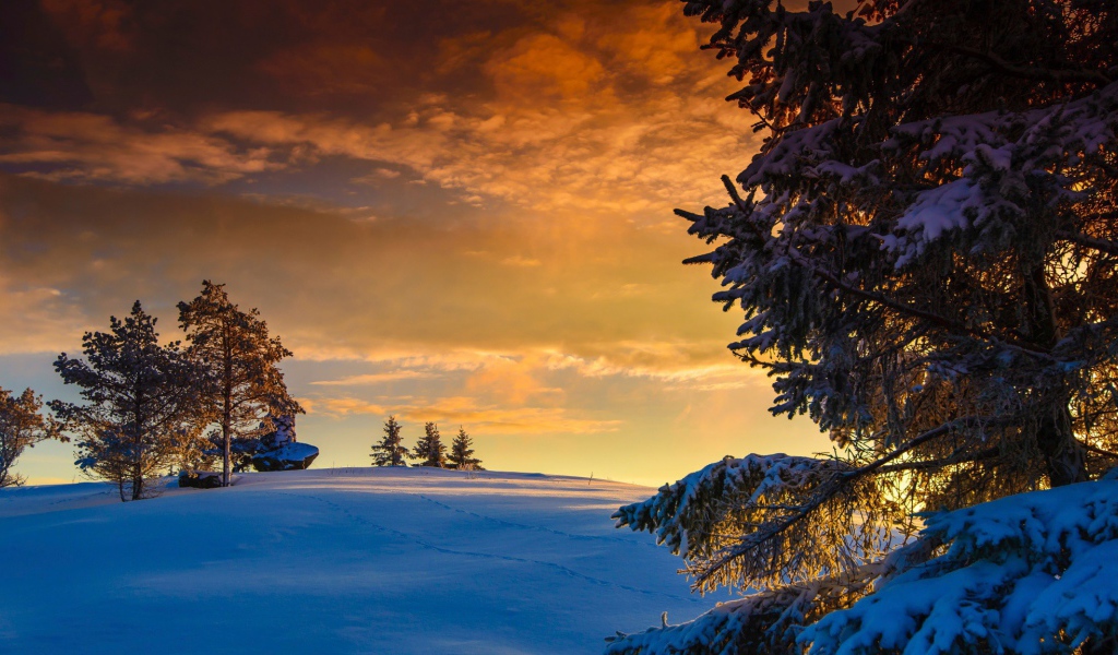 Оранжевые облака на закате в Норвегии