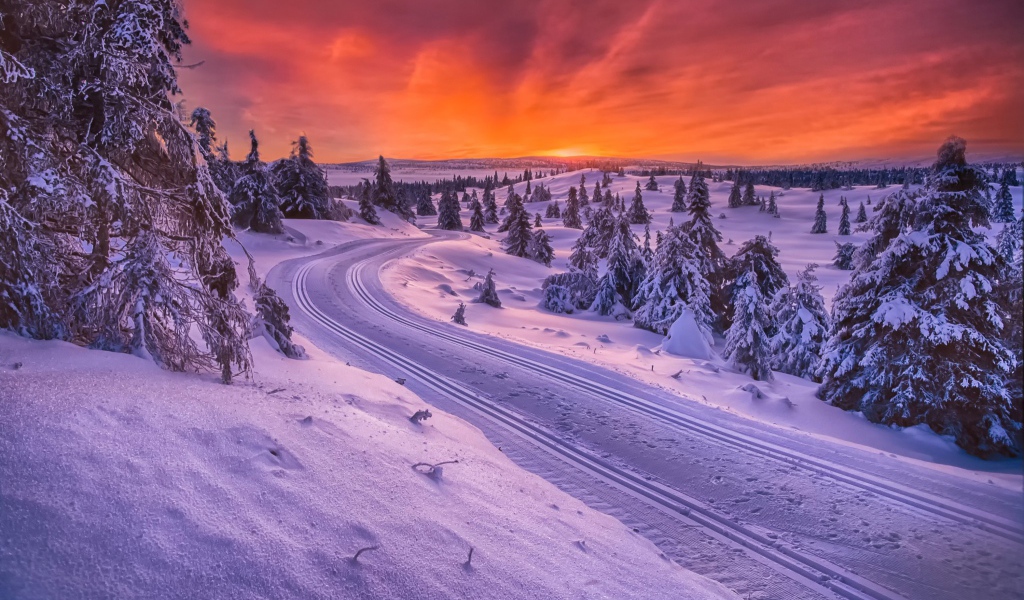 Зимняя дорога в Норвегии