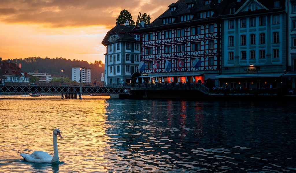 Лебедь на озере, Швейцария