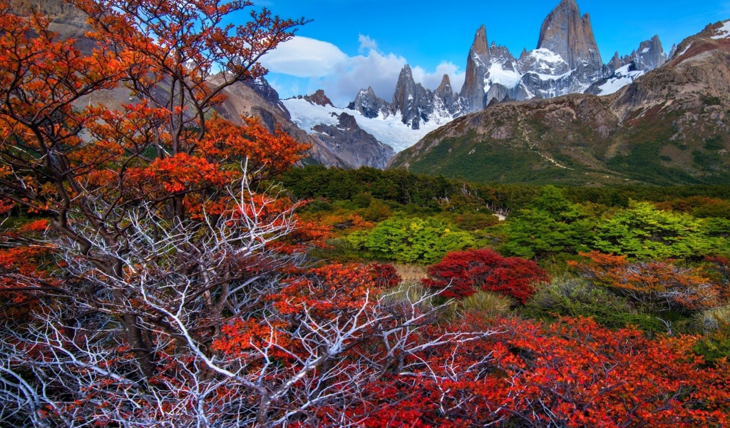 Красочная местность Патагония