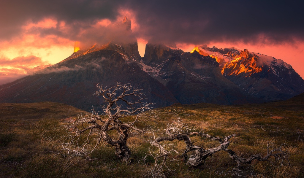 Гористая местность Патагония