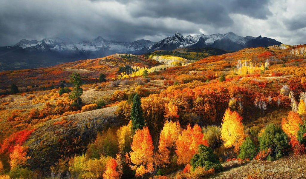 Осень в горах Колорадо, США