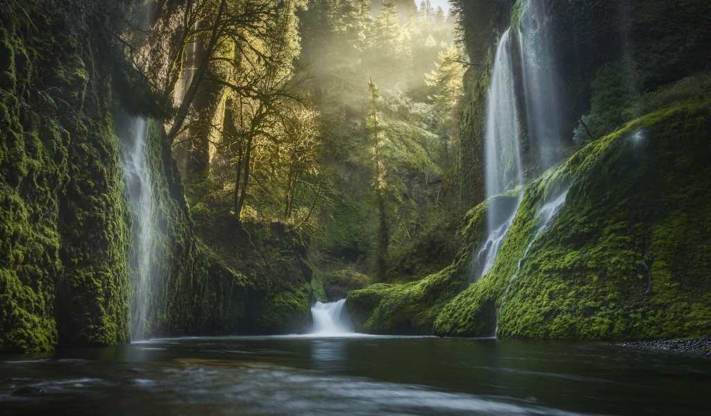 Водопады среди зелени в Орегоне
