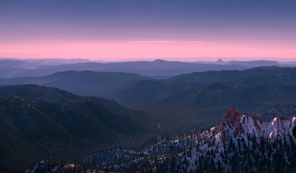 Покрытый лесом каньон Брюса в Юте