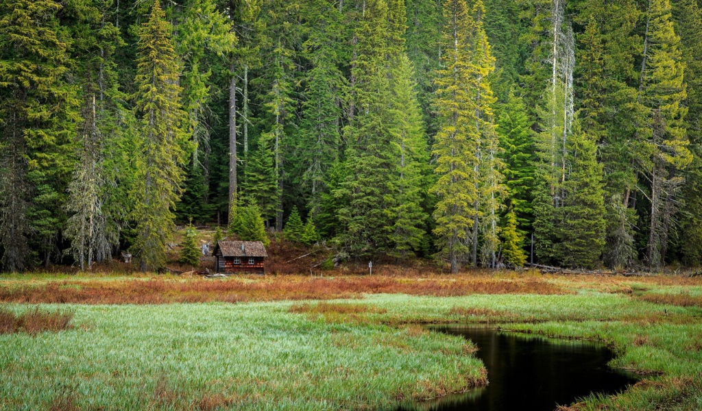 Избушка на опушке леса, Орегон