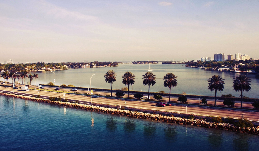 Пальмы у шоссе в Майами