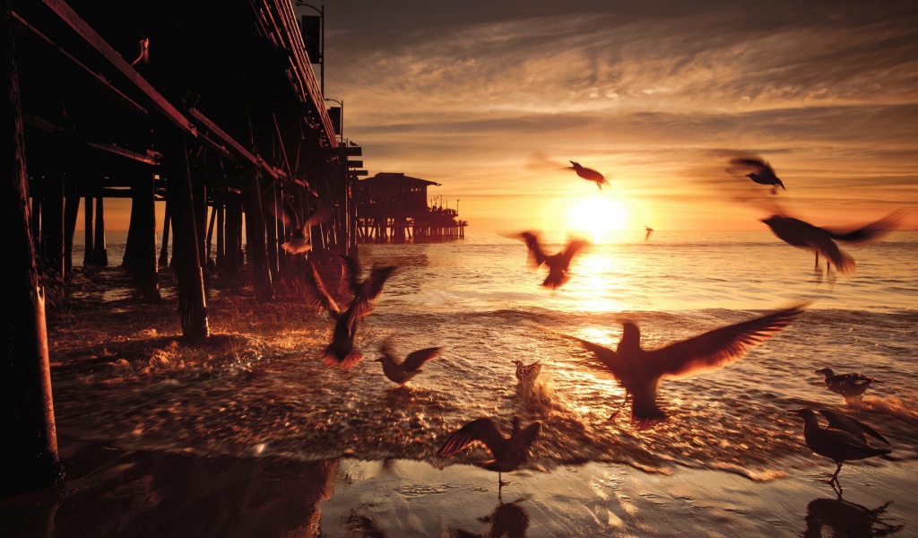 Закат в Санта-Монике. Калифорния, США