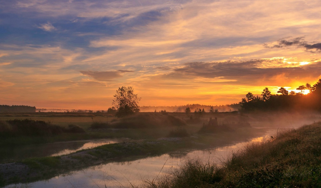 Woodland Park, Нью-Джерси, США