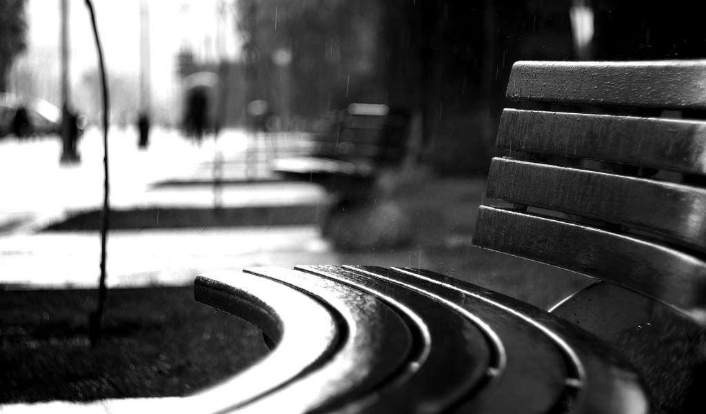 Изогнутая скамья под дождем